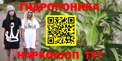 наркотики Кизилюрт